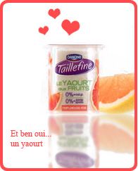yaourt taillefine 0% fruits citron gout sorbet