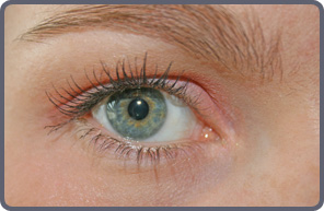 oeil shu uemura