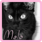 Malo