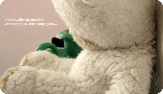ours en peluche
