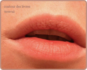 contour lèvres cargo