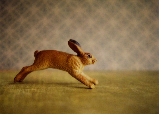 runningrabbitbyesoule.jpg