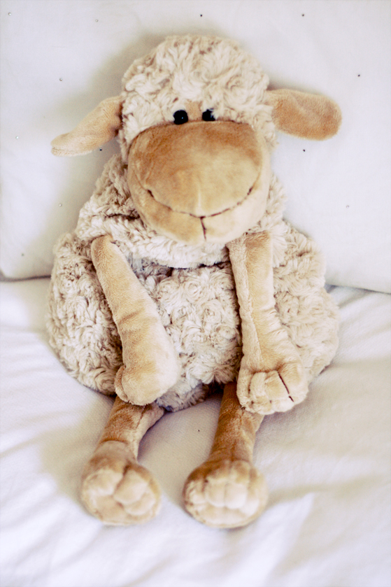 mouton-bouillotte
