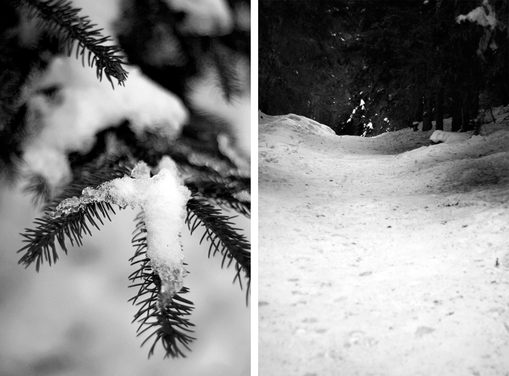 nb-photo-latania-01