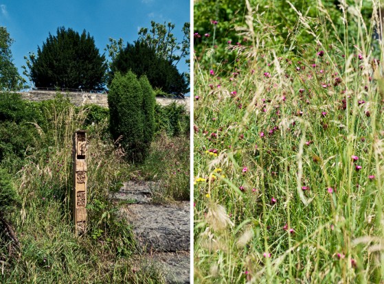 jardin-naturel-08 jardin-naturel-08