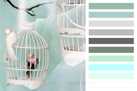 00-palette-bird