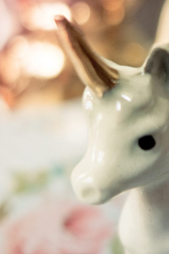 la-petite-licorne-02