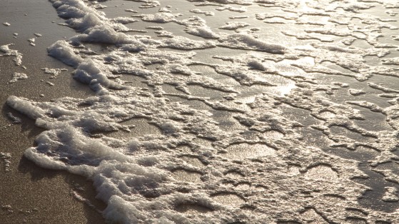 or-liquide-03