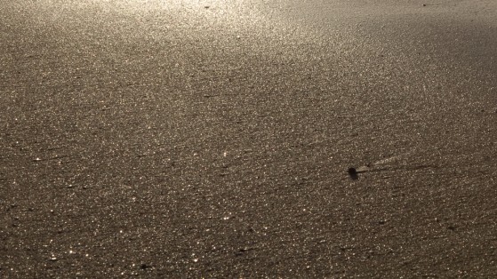 or-liquide-05