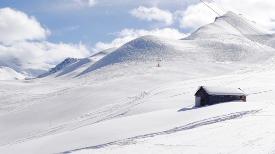 la-tania-01