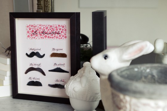 vitrine-moustache