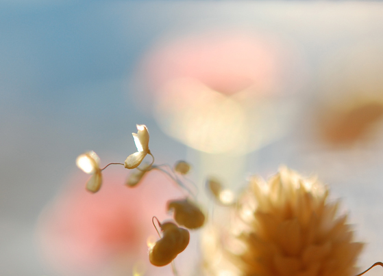 eyecandy-04042010