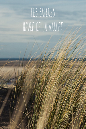 Les Salines