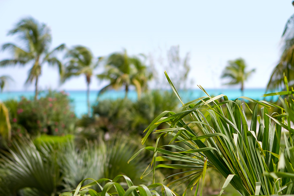 Club-med-colombus-beach-005