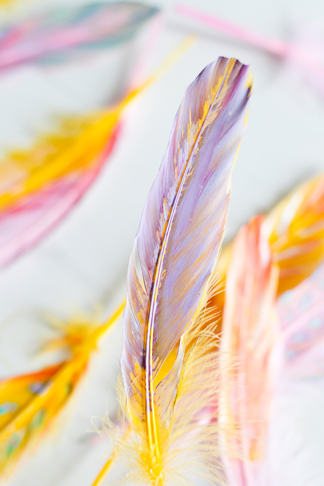 DIY-painted-feather-003a
