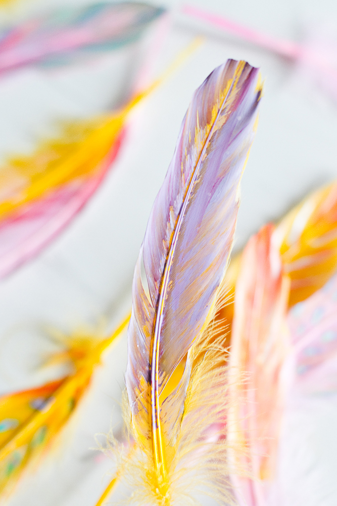 Diy painted feather 003a