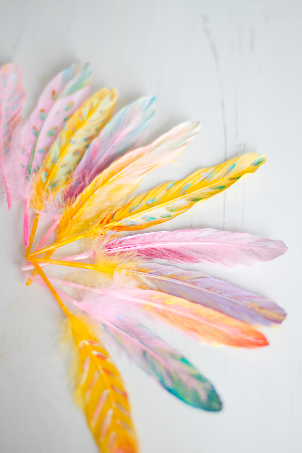 DIY-painted-feather-006