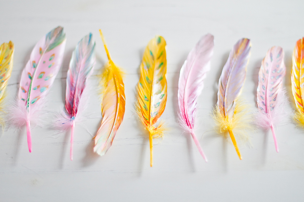 Diy painted feather home