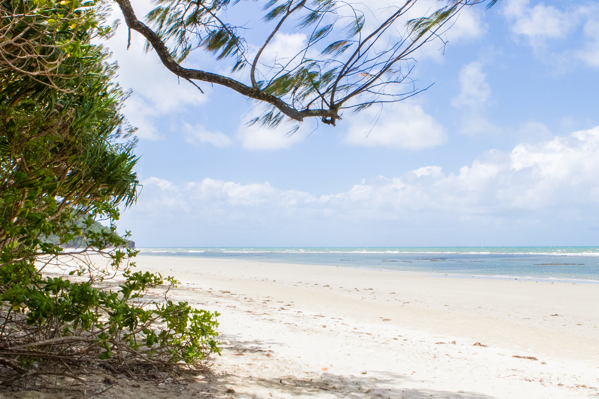 Daintree-Reef-001