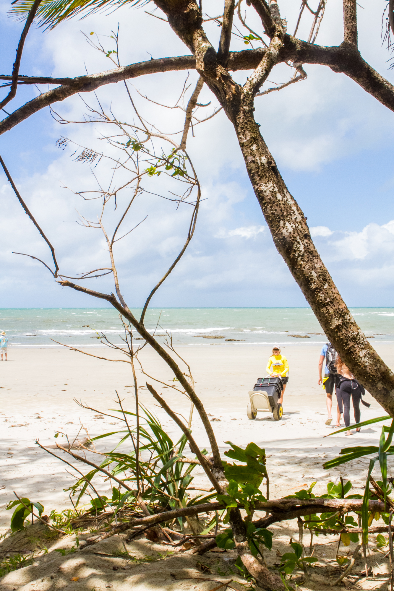 Daintree-Reef-002g