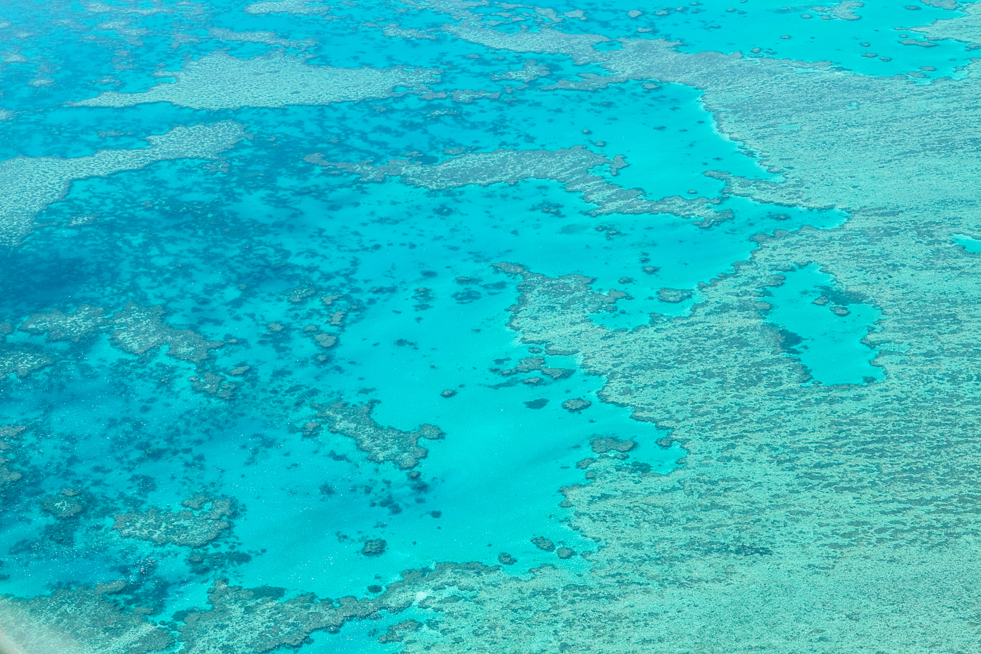 great-barrier-reef-006d