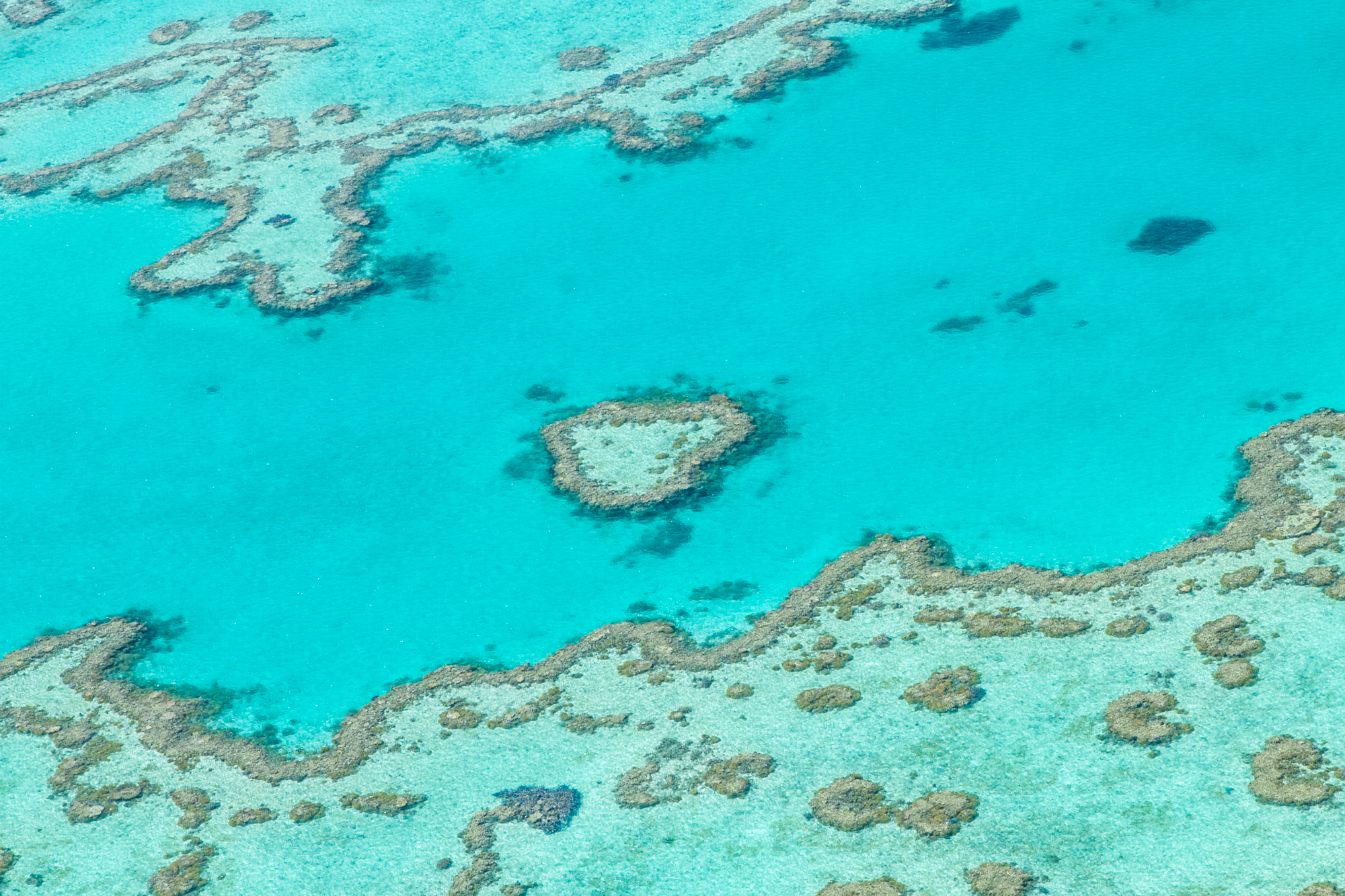 great-barrier-reef-006g